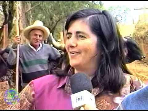 Desfile de carros de boi, Acidente na Rodovia MG 290, Reportagem condições da Cadeia Pública.