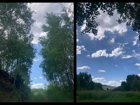 The Fall of Apollo by: Palm Trees