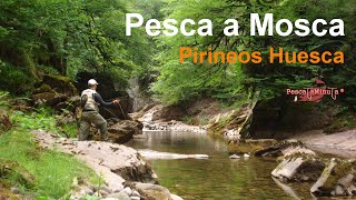 Pirineos, rio Aragon y El Valle de Hecho