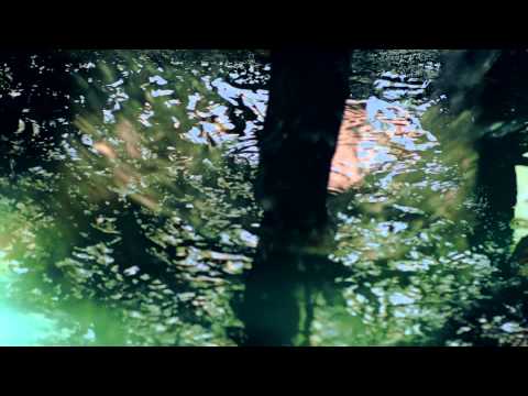 Daria Hodnik - NEVIDLJIVE STOPE Official video