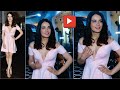 Radhika Madan Hot And Bold Look In Pink Dress Shiddat Screening Video