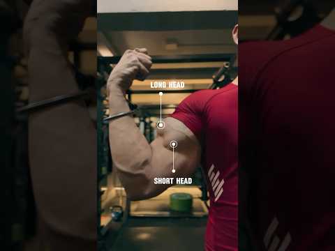 For Bicep’s long head & short head | Biceps workout #biceps #bicepsworkout #shorts