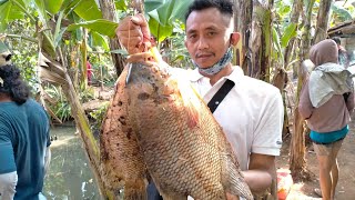 Download lagu Fishing for monster gourami for 3 million rupiah (part 2). I even caught a fish..!!!!! mp3