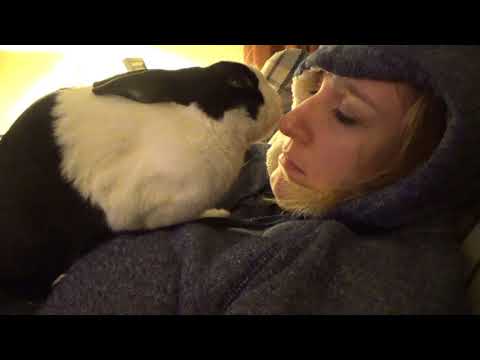Rabbit giving kisses!