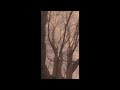 Jesse Sprinkle - She is the Invisible Voice