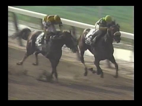 1992 Belmont Stakes : ABC Broadcast