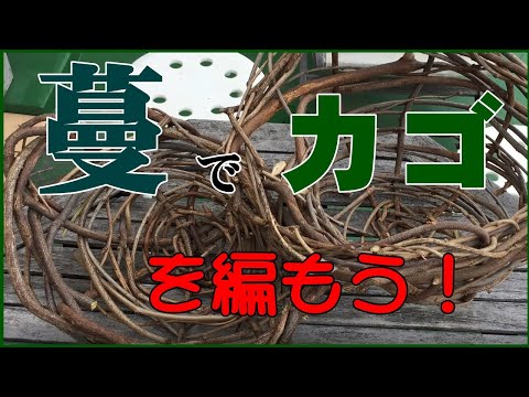 枝編み細工品 植物