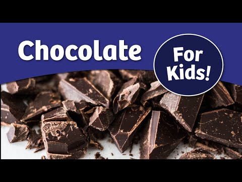 History of Chocolate For Kids | Bedtime History