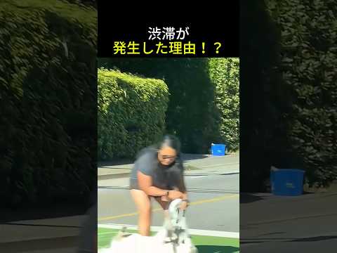 犬の飼い主が冷や汗をかく瞬間
