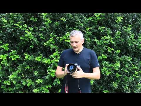 AI Focus versus AI Servo (Canon) - difference, why, when, how to use it