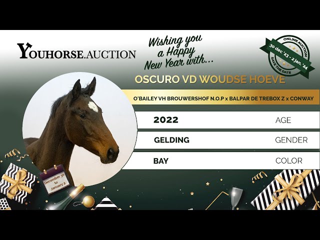 Oscuro van de Woudse Hoeve