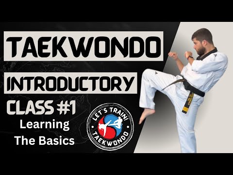 Taekwondo Class 1: Learn The Basics