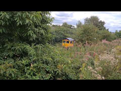 66715 with some tones