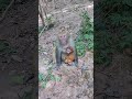 Warning Funny Joke Happy Good Feeling