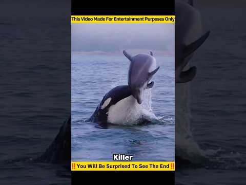 Most Dangerous and Aggressive Animals 😱 Part 2