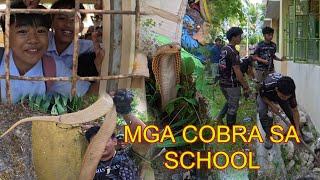 MGA COBRA NAG MUMULA SA LIKOD NG SCHOOL