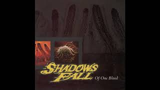 Shadows Fall - Root Bound Apollo (remastered)