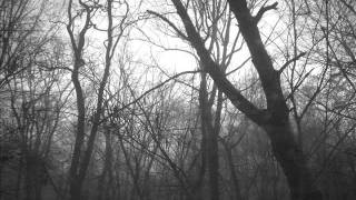 Isengard- Vinterskugge