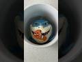 If Fish Were Food Not Friends In Finding Nemo Findingnemo Shark Shorts