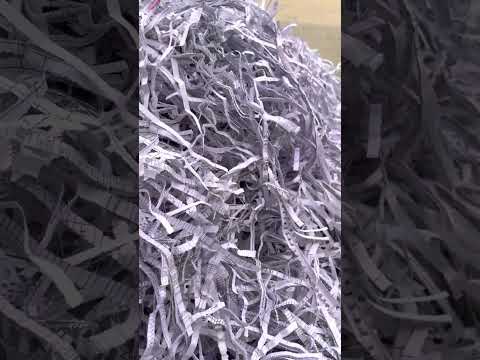 Strip Cut White Paper Shred for Packaging at Rs 65/kilogram in Pune