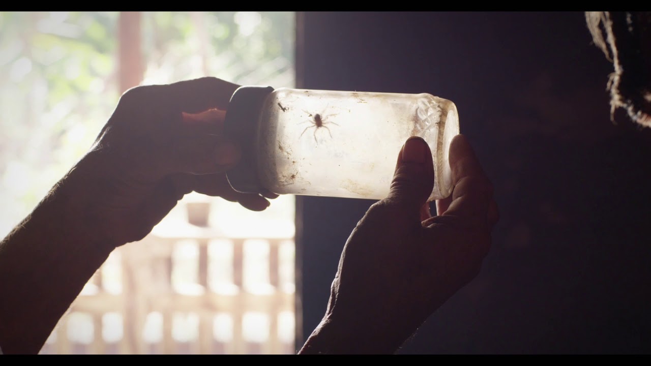 Lamaland (Teil I) - trailer | IFFR 2018