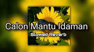Download lagu Calon Mantu Idaman (feat. Ncum) - Rombongan Bodonk Koplo || (Slowed  Reverb) mp3