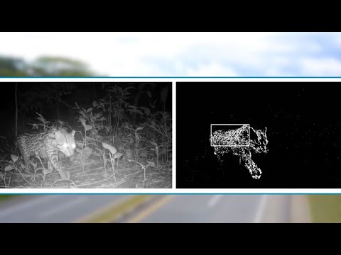 Camino al Suroeste - 3 de julio de 2025