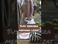 Susu Gede Shorts BOCILMERESAHKAM