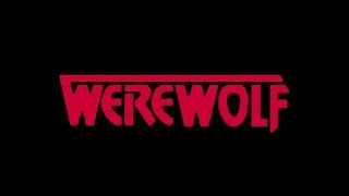 An interview with John J. York about Werewolf The Series