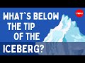 What's below the tip of the iceberg? - Camille Seaman