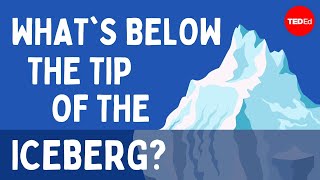 What's below the tip of the iceberg? - Camille Seaman