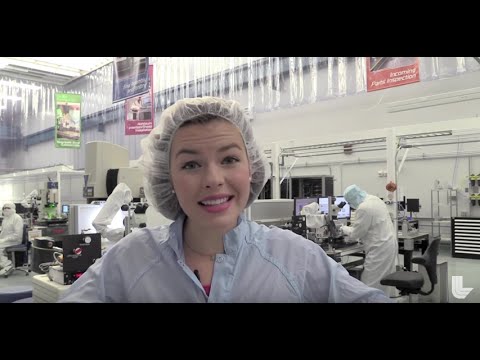 A Growing Family of Targets for the National Ignition Facility