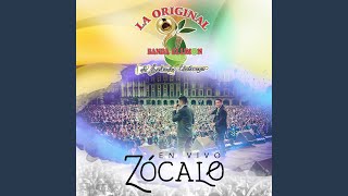 No Me Dolió (En Vivo Zócalo)