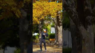 juggling🍁
