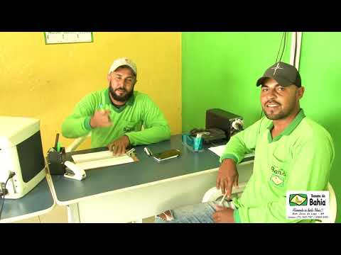 Associação Banana da Bahia.  (Alimente-se desta Ideia)