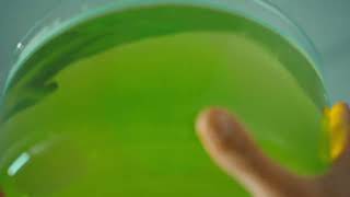 CLR Brands The easiest way to clean the shower