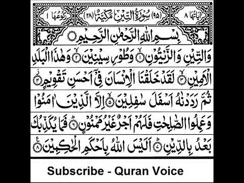 Surah At-Teen - Quran Surah 95