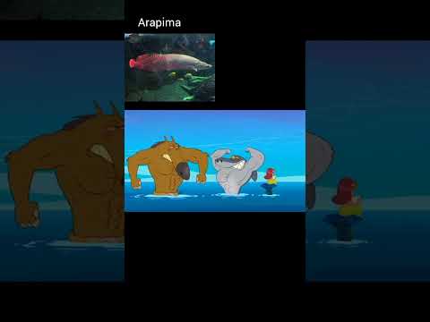 #alligator gar vs arapima#zig vs sharko#fish #fishlover #aquarium #shorts #ytshorts