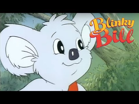 Blinky Bill - Episode 6 - Blinky Bill And The Red Car