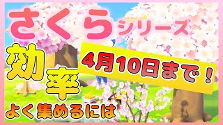 【あつ森】10日まで！さくらシリーズ家具と服を効率よく簡単にフルコンプする方法【あつまれどうぶつの森】