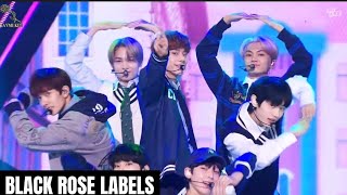 Download lagu [MM SUB] ENHYPEN - 10 Months Myanmar Subtitles with Hangul lyrics pronunciation mp3