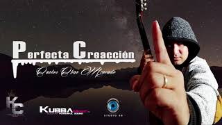 perfecta creación -carlos Char