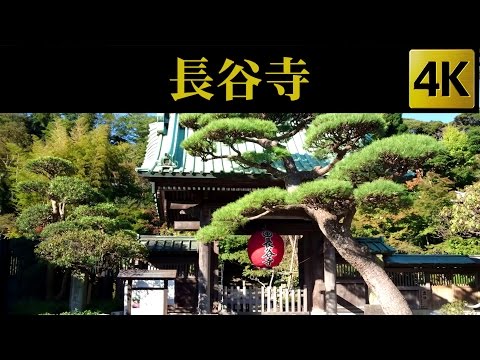 Hasedera , Kamakura , Japan 長谷寺 / 鎌倉 [ 4K ]
