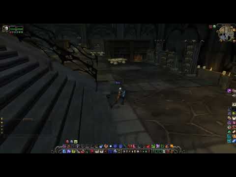 Kel'Thuzad and the Forming of the Scourge Location in Scholomance, WoW Wotlk [Well Read]