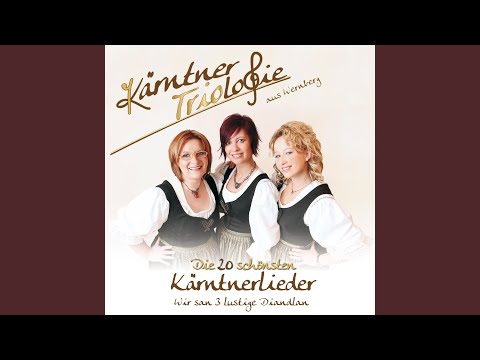 Ja wia halt ban Plauschn die Zeit schnell vergeht (Radio Version)