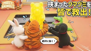#パーティアニマルズ　#TikTok で鹿白るい さんの配信にお邪魔した時に起きた最高の瞬間！首が挟まってしまった熊グミがおもしろすぎたw