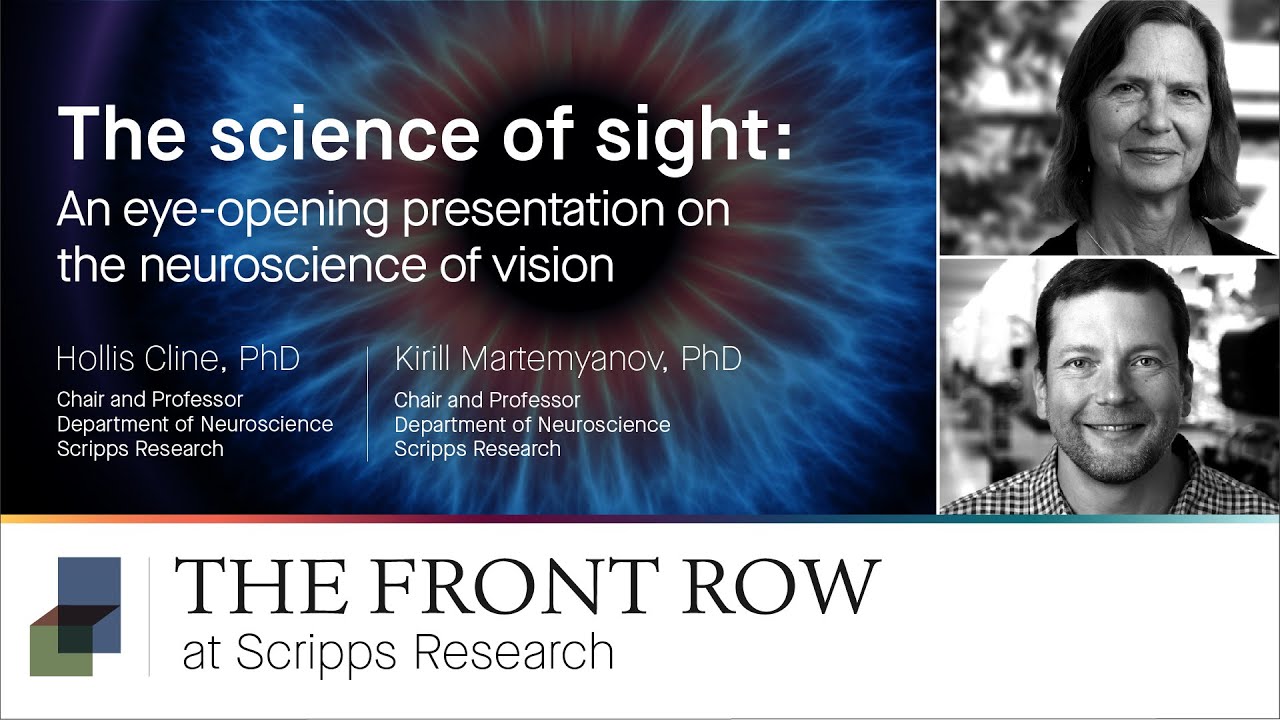 The science of sight: An eye-opening presentation on the neuroscience of vision: Hollis Cline, PhD, and Kirill Martemyanov, PhD