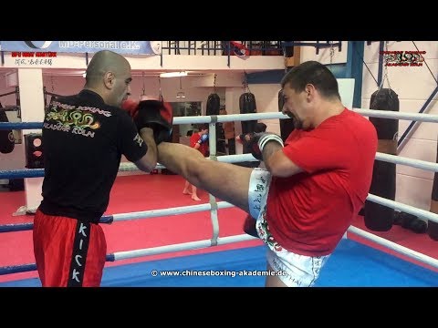 Sensei Pasquale D'Ambrosio Pratzentraining mit Sifu Nihat Atamtürk