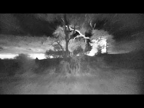 Djuma: Tingana male Leopad killed Impala-Hyena tried to steal it - 20:08 - 10/16/18