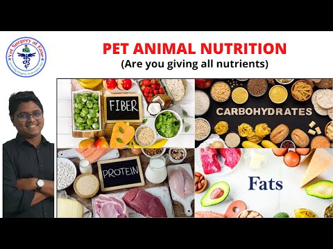 Nutrition | Dog & Cat | Energy | Nutrients